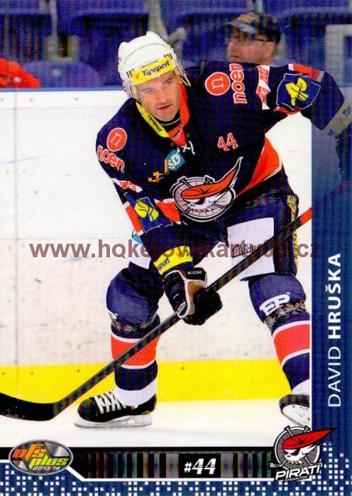 2013-14 OFS - David HRUŠKA č. 205