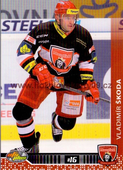 2013-14 OFS - Vladimír ŠKODA č. 245