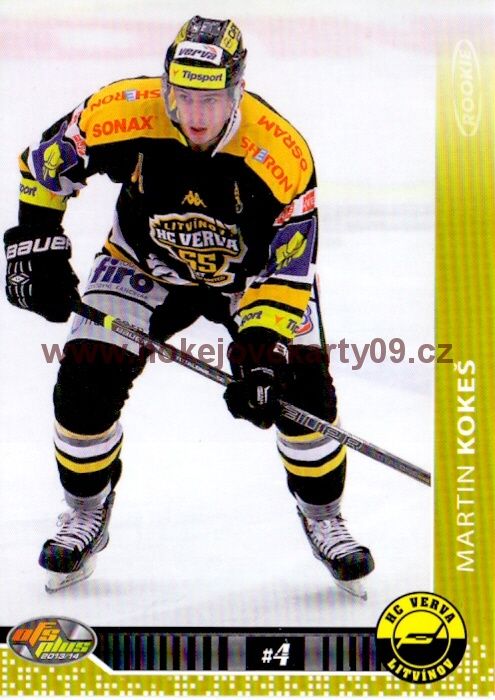 2013-14 OFS - Martin KOKEŠ č. 272