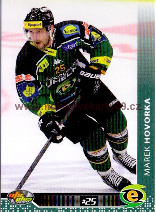 2013-14 OFS - Marek HOVORKA č. 314