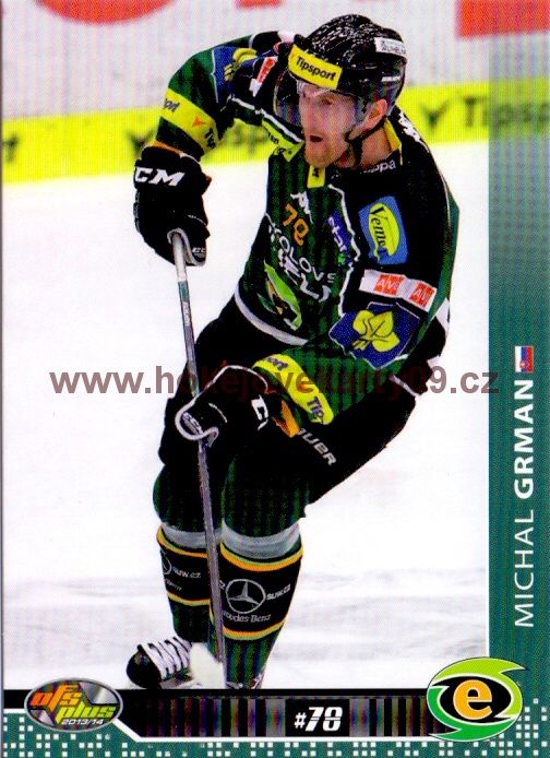 2013-14 OFS - Michal GRMAN č. 317