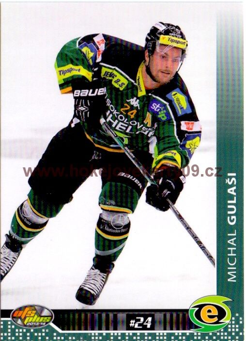 2013-14 OFS - Michal GULAŠI č. 318