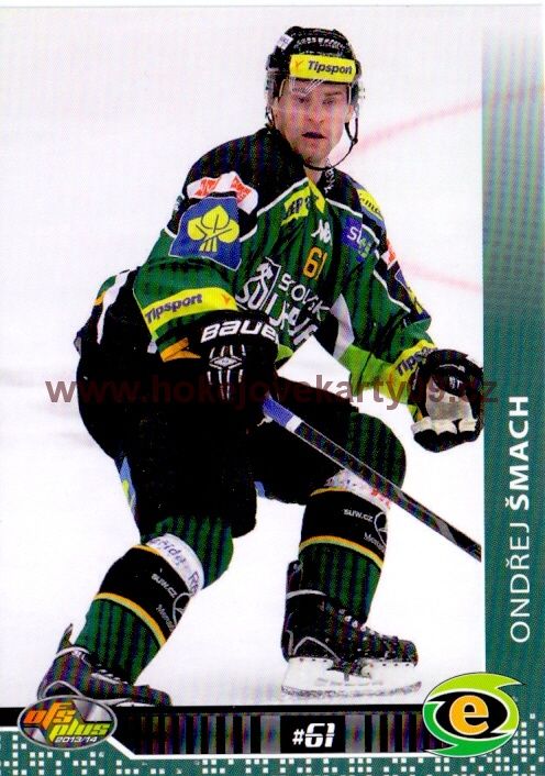 2013-14 OFS - Ondřej ŠMACH č. 319