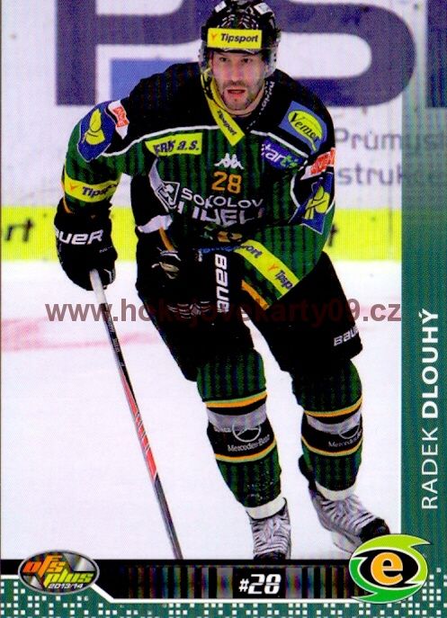 2013-14 OFS - Radek DLOUHÝ č. 321