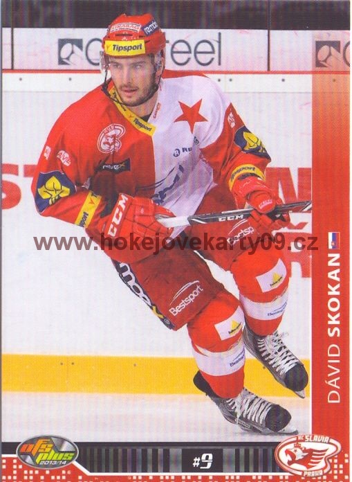2013-14 OFS - Dávid SKOKAN č. 249