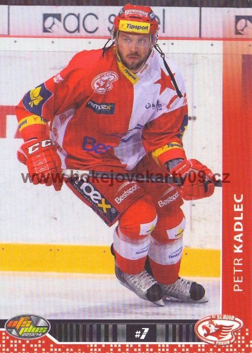 2013-14 OFS - Petr KADLEC č. 262
