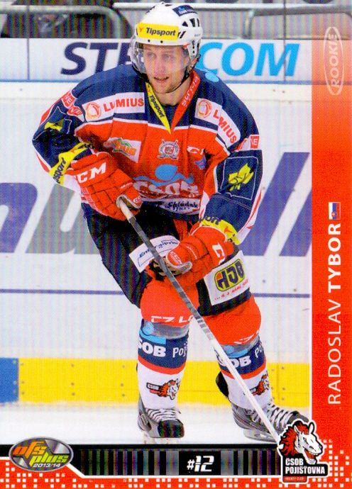 2013-14 OFS - Radoslav TYBOR č. 302