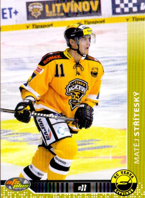 2013-14 OFS - Matěj STŘÍTESKÝ č. 333