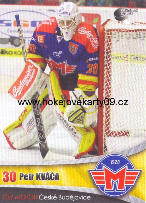 2016-17 Premium Cards - Petr KVÁČA č. 28