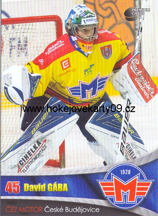 2016-17 Premium Cards - David GÁBA č. 2