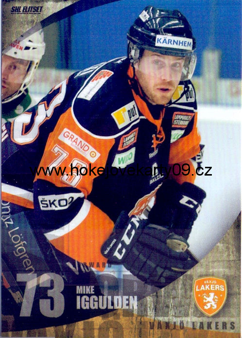 11-12 SHL - Mike IGGULDEN č. 279