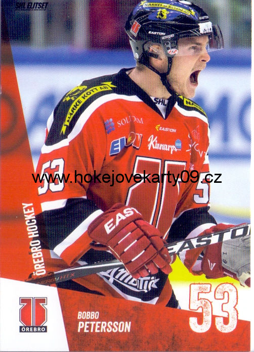 14-15 SHL - Bobbo PETERSSON č. 298