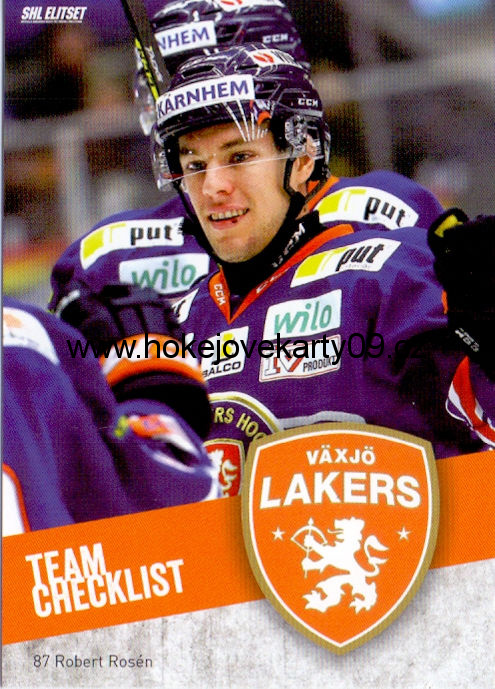 14-15 SHL - Robert ROSEN č. 311 CL