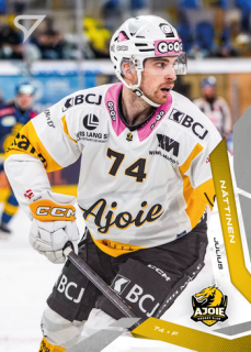 25-26 NLA - Julius NÄTTINEN č. 248