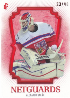 24-25 Český hokej - Alexandr SALÁK č. NG-24 Netguards Red x/40