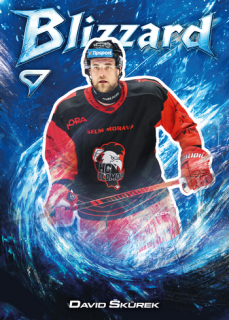 25-26 TELH - David ŠKŮREK č. BL-43 Blizzard