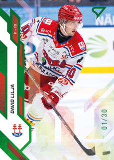 25-26 SHL - David LILJA no. 104 Shamrock Green x/30