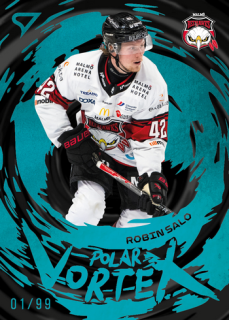 25-26 SHL - Robin SALO no. PV-25 Polar Vortex Steel Blue x/99