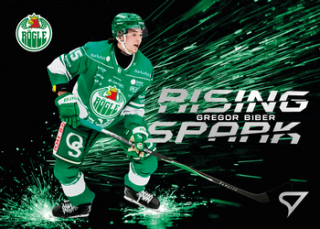 25-26 SHL - Gregor BIBER no. RS-11 Rising Spark