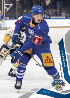25-26 NLA - Robin Nico ANTENEN no. 295