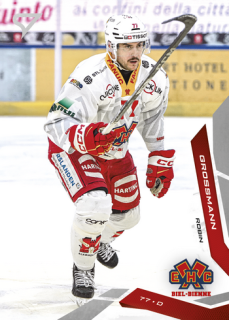 25-26 NLA - Robin GROSSMANN no. 331