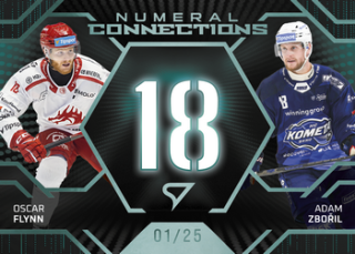 25-26 TELH - Oscar FLYNN & Adam ZBOŘIL č. NC-07 Numeral Connections Verdant Green x/25