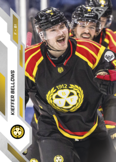 25-26 SHL - Kieffer BELLOWS č. 263
