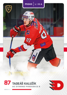 25-26 GOAL Cards - Tadeáš KALUŽÍK č. PCE-20 Canvas