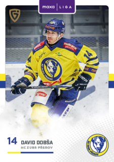 25-26 GOAL Cards - David DOBŠA č. PRE-23