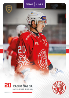 25-26 GOAL Cards - Radim ŠALDA č. SLA-31