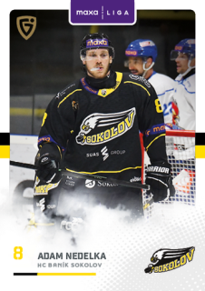 25-26 GOAL Cards - Adam NEDELKA č. SOK-16
