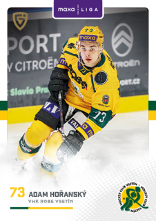 25-26 GOAL Cards - Adam HOŘANSKÝ č. VSE-19 Canvas