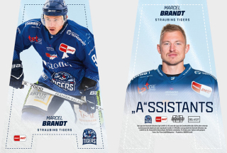 25-26 DEL - Marcel BRANDT no. DEL-AS37 Assistants