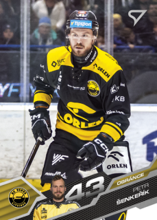 25-26 TELH Play Off - Petr ŠENKEŘÍK č. 401