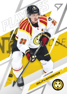 25-26 SHL - Jakob SILFVERBERG no. 18