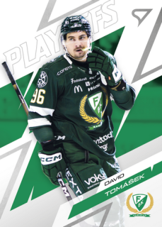 25-26 SHL - David TOMÁŠEK no. 45