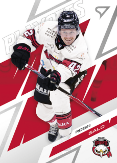 25-26 SHL - Robin SALO no. 58