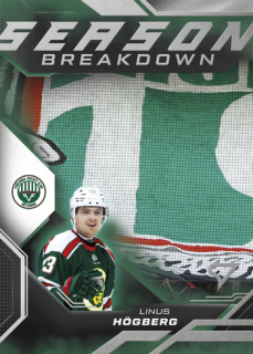 25-26 SHL - Linus HÖGBERG no. SB-07 Season Breakdown
