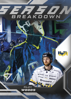 25-26 SHL - Riley WOODS no. SB-39 Season Breakdown