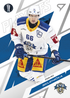 25-26 NLA - David SKLENIČKA no. 49