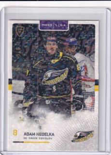 25-26 GOAL Cards - Adam NEDELKA č. SOK-16 Jungle Parallel x/6