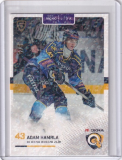 25-26 GOAL Cards - Adam HAMRLA č. ZLI-33 Jungle Parallel x/6