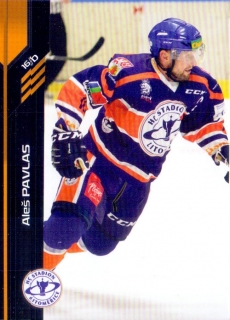 18-19 Premium Cards - Aleš PAVLAS č. 142