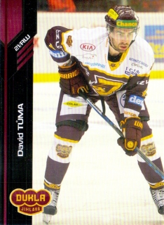 18-19 Premium Cards - David TŮMA č. 247
