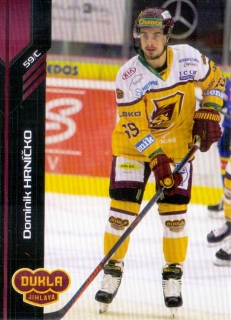 18-19 Premium Cards - Dominik HRNÍČKO č. 249