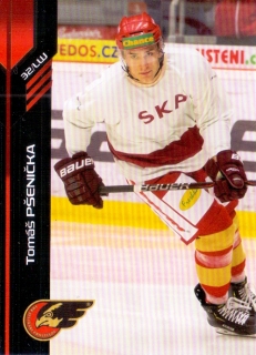 18-19 Premium Cards - Tomáš PŠENIČKA č. 300