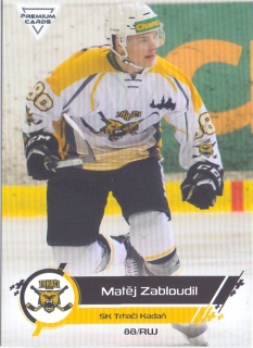 19-20 Premium Cards - Matěj ZABLOUDIL č. 133