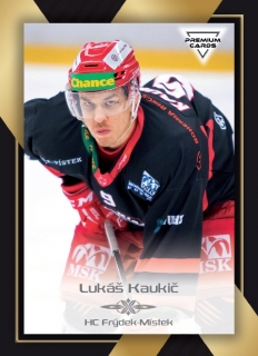 20-21 Premium Cards - Lukáš KAUKIČ č. 377