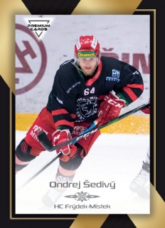 20-21 Premium Cards - Ondrej ŠEDIVÝ č. 383
