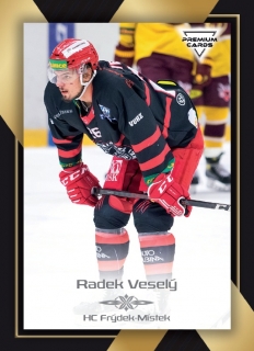 20-21 Premium Cards - Radek VESELÝ č. 385